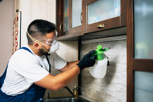 Best Affordable Exterminators  in Oskaloosa, KS