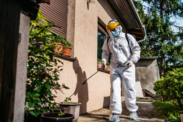 Best Ant Control Services  in Oskaloosa, KS