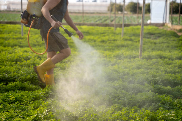 Best Pest Control Near Me  in Oskaloosa, KS