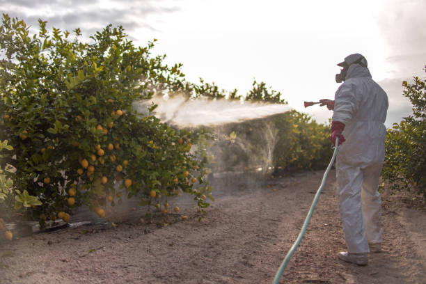 Best Mosquito Control Services  in Oskaloosa, KS