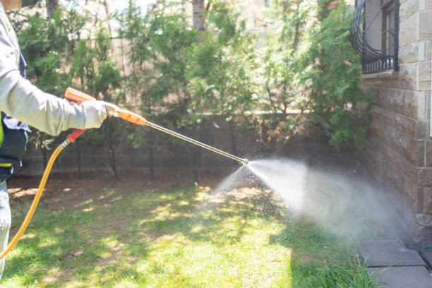 Best Insect Control  in Oskaloosa, KS
