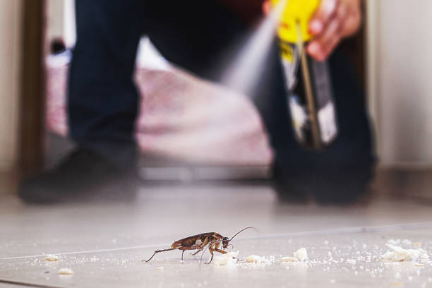 Best Best Pest Control Companies  in Oskaloosa, KS
