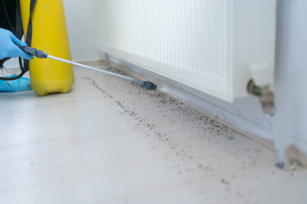 Best Residential Pest Control  in Oskaloosa, KS