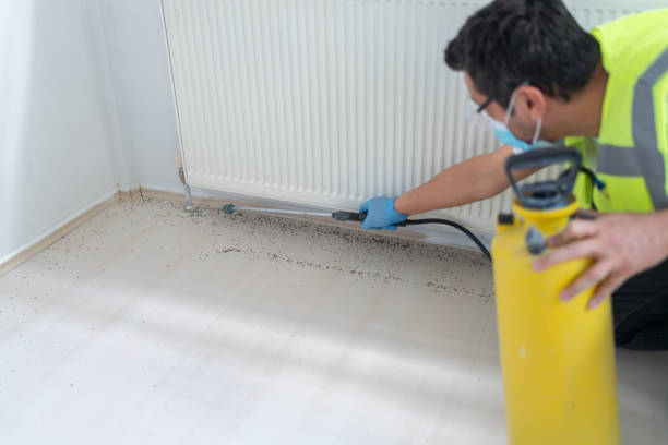 Best Pest Control for Restaurants  in Oskaloosa, KS