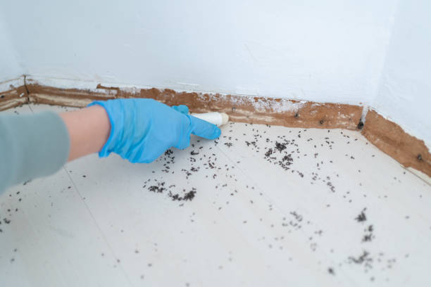 Best Bed Bug Extermination  in Oskaloosa, KS