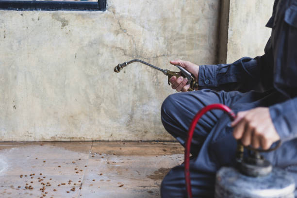 Best Local Pest Control Services  in Oskaloosa, KS