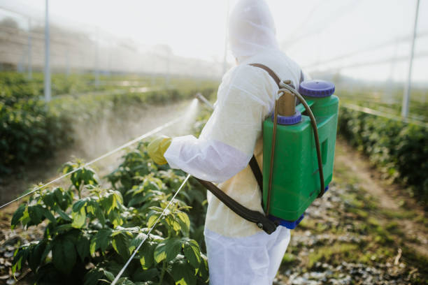 Best Exterminator Services  in Oskaloosa, KS